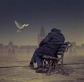 /album/galleria-fotografica/a537893-201619293282618-148068215304393-321645-1051191941-n-jpg/