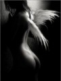/album/galleria-fotografica/a577224-206955086082372-148068215304393-335496-1841496002-n-jpg/